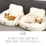 이씨네복덕방 애견유치원
