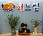 해드림공인중개사사무소