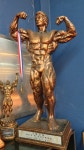 JY GYM