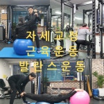 피엘유짐 PT