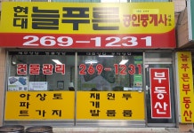 현대늘푸른 공인중개사사무소