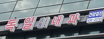독일의원