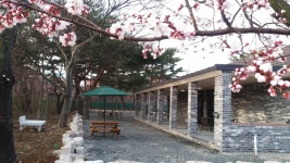 솔카페