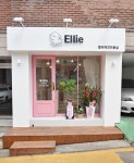 엘리애견미용실