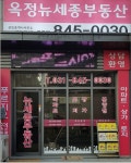 옥정뉴세종부동산공인중개사사무소