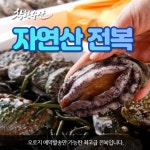 착한수산