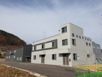 성일