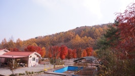 산상낙원캠핑장펜션