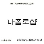 나우솔루션