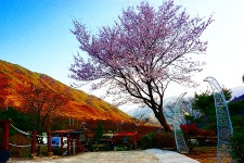 지리산 시크릿가든