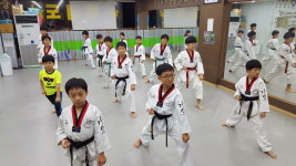 강산태권도체육관