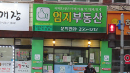 엄지부동산 공인중개사 사무소