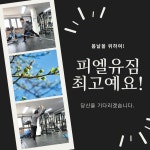 피엘유짐 PT