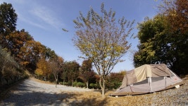 산상낙원캠핑장펜션