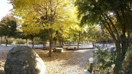 산상낙원캠핑장펜션