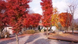 산상낙원캠핑장펜션