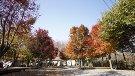 산상낙원캠핑장펜션