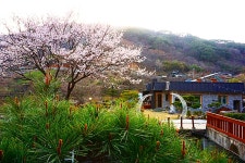 지리산 시크릿가든