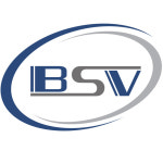 비에스브이네트웍스