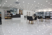 부산 강아지분양 도로시펫