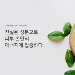 이디코리아
