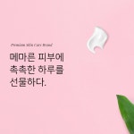 이디코리아