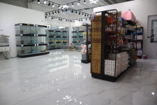 부산 강아지분양 도로시펫