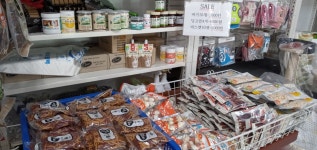 애견백화점
