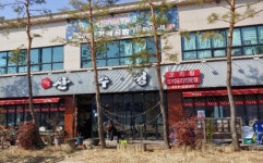 산수정