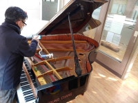 이화선율음악학원