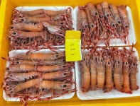 명천냉동수산