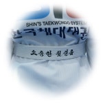 STS한국체대태권도