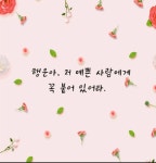 서나헤어