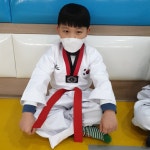용인대 비룡 태권도장