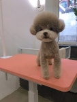 설레임청담