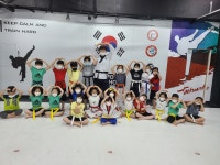 태들보비전태권도