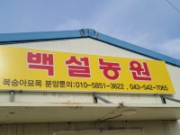백설농원