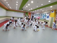용인대꿈나무태권도