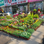 대영화훼조경