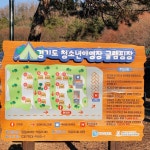 경기도청소년야영장
