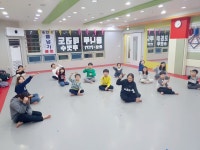 용인대꿈나무태권도