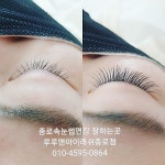 종로눈썹문신 루루앤아이래쉬 종로점