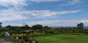 [달작 민박] 동화같은 감성민박