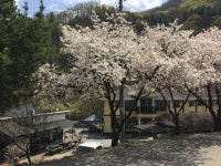 가평 노팅힐 계곡애견펜션