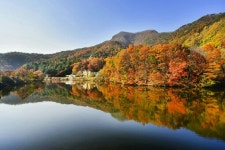 예다움사랑채 펜션