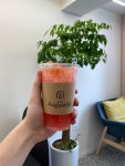 어거스트95