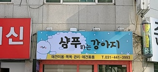샴푸하는 강아지