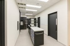 나의동물메디컬센터