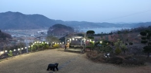 빛트인