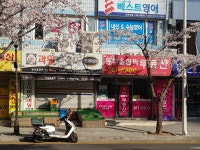 동부올림픽공인중개사사무소